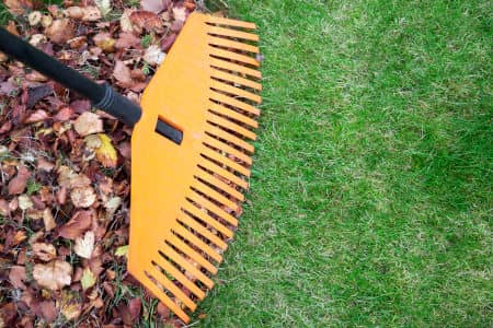 Why Fall Leaf Removal Is A Worthy Investment