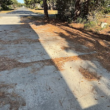 Leaf-Pine-Needle-Cleanup 0