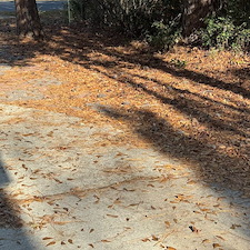 Leaf-Pine-Needle-Cleanup 1