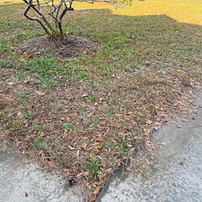 Leaf-Pine-Needle-Cleanup 2