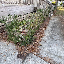 Leaf-Pine-Needle-Cleanup 3