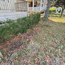 Leaf-Pine-Needle-Cleanup 4