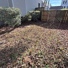 Leaf-Pine-Needle-Cleanup 5