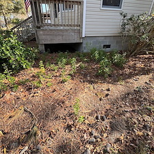 Leaf-Pine-Needle-Cleanup 6