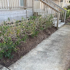 Leaf-Pine-Needle-Cleanup 13