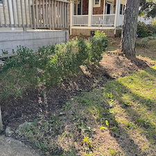 Leaf-Pine-Needle-Cleanup 14