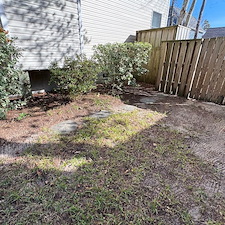 Leaf-Pine-Needle-Cleanup 16