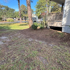 Leaf-Pine-Needle-Cleanup 17
